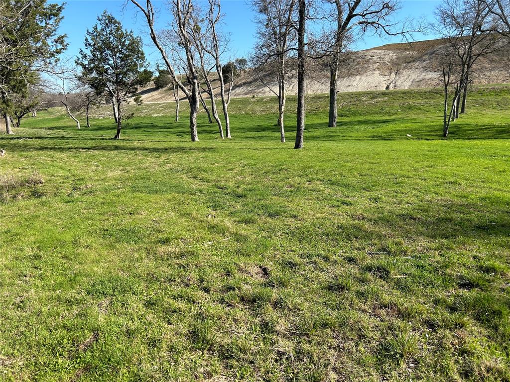 a view of field with trees