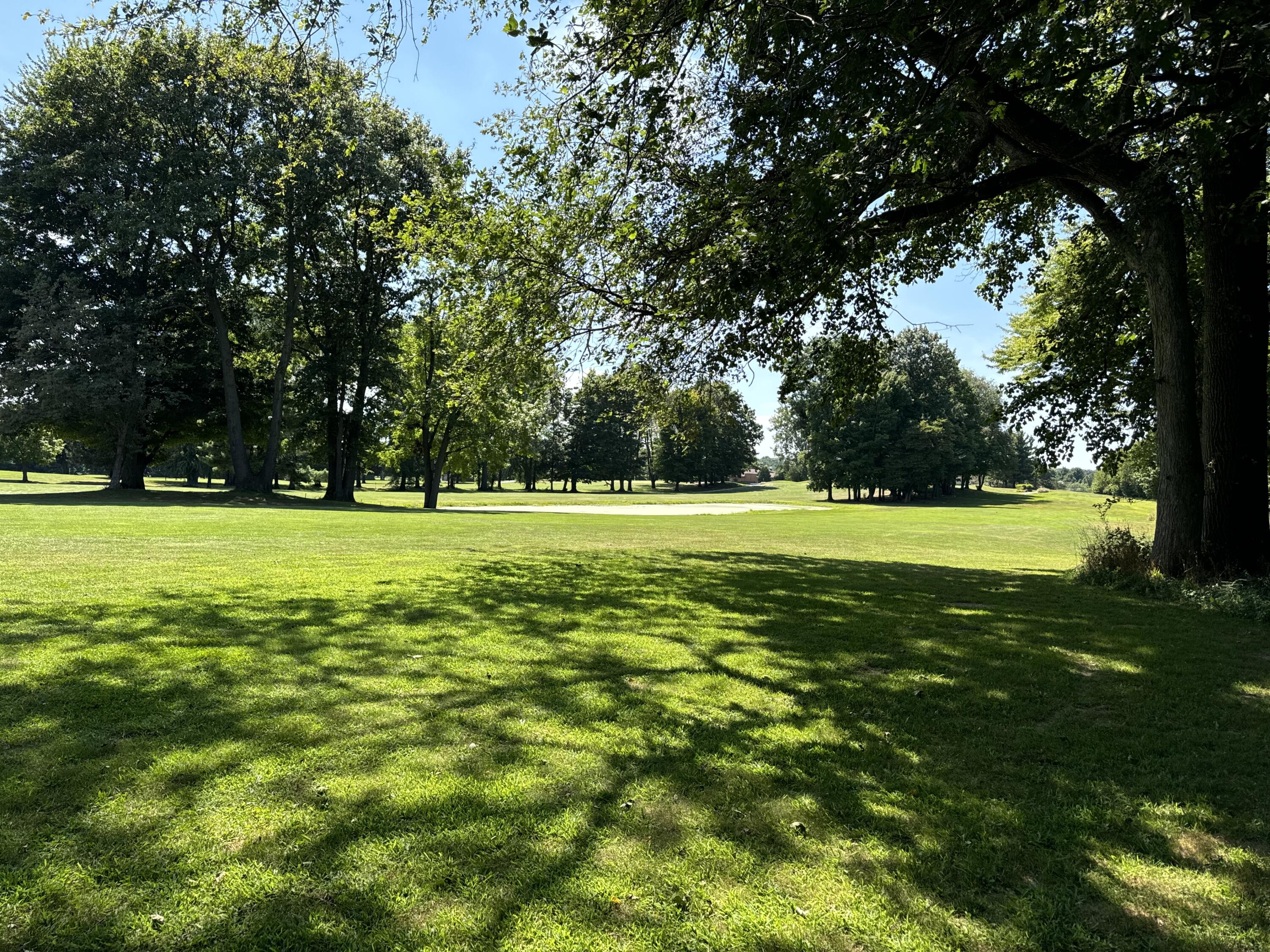 a view of a park with large trees