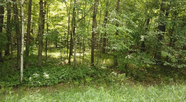 $20,000 | X Ode Circle | Moran Township - Todd County