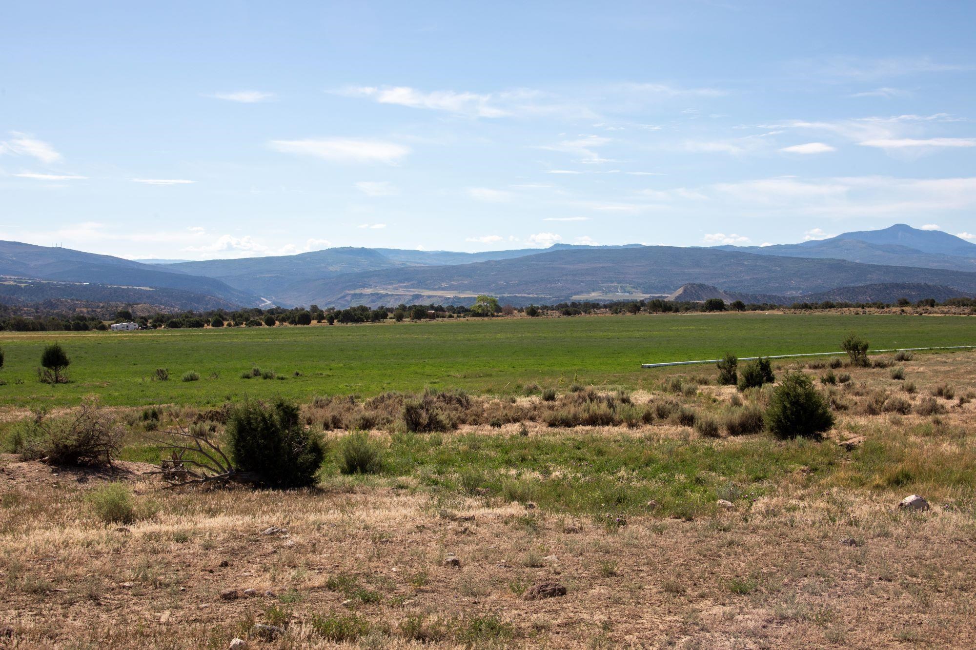 a view of a town with mountains in the background