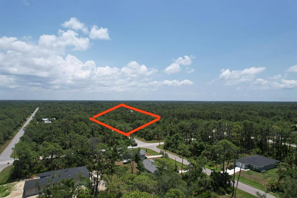 an aerial view of houses covered in trees