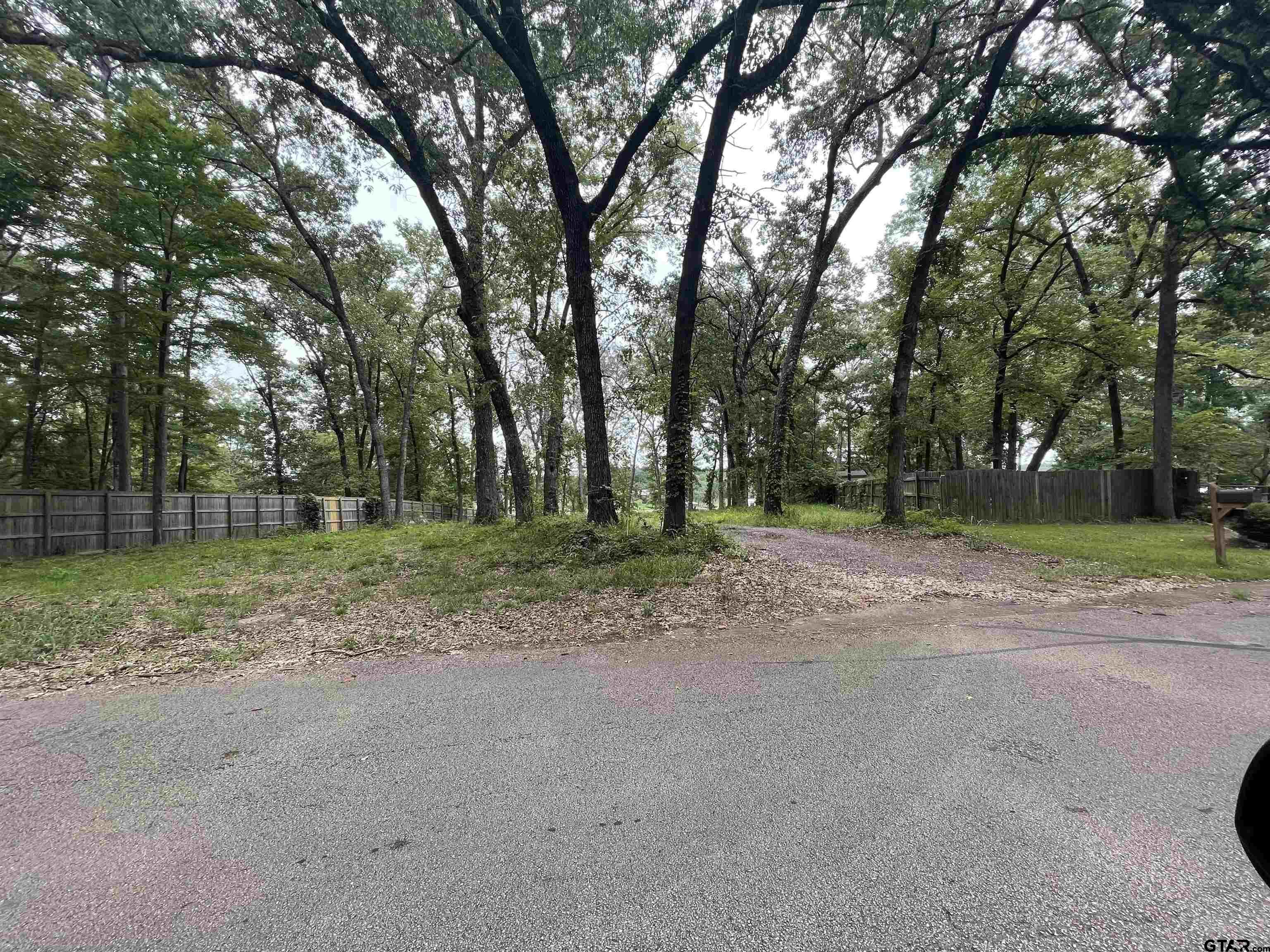 a view of a yard with tree s