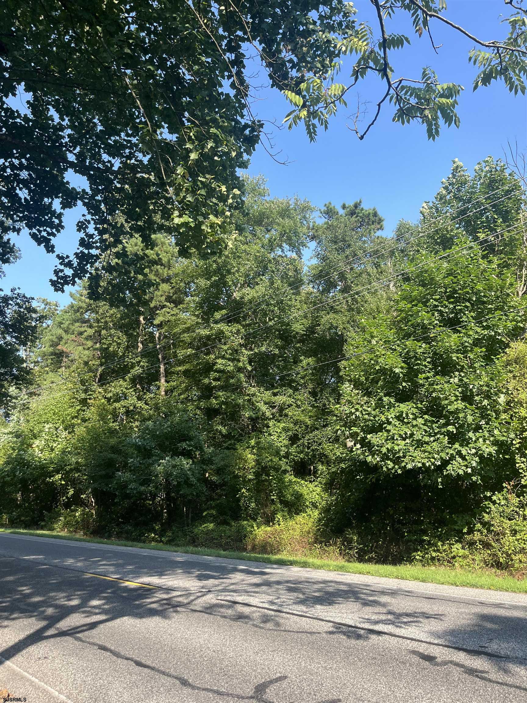 a view of a yard and a trees