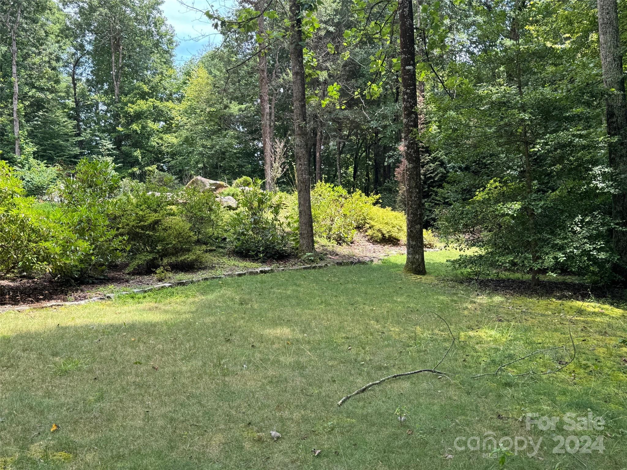 a view of a trees in a yard