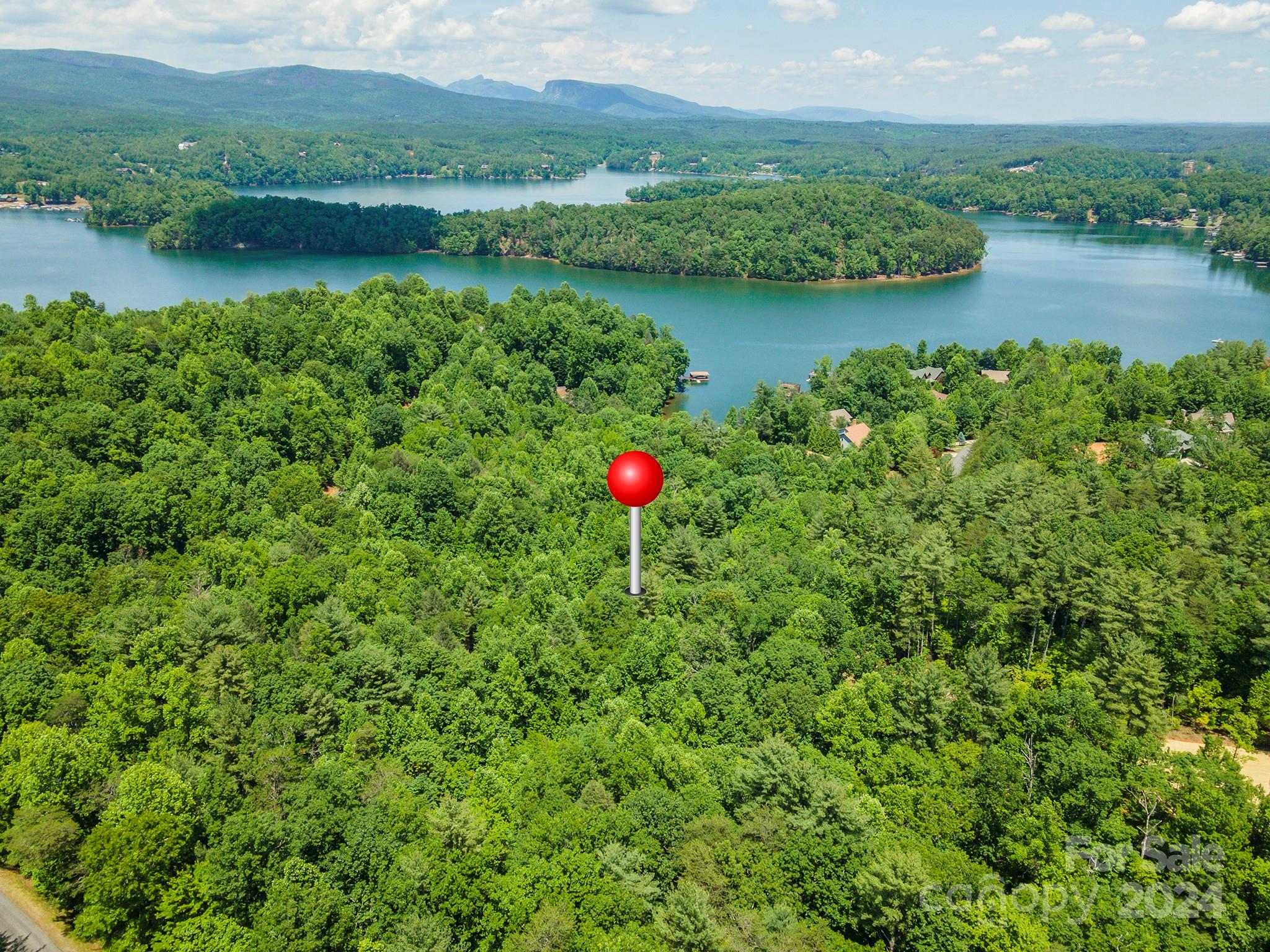 an aerial view of green landscape with trees houses and lake view