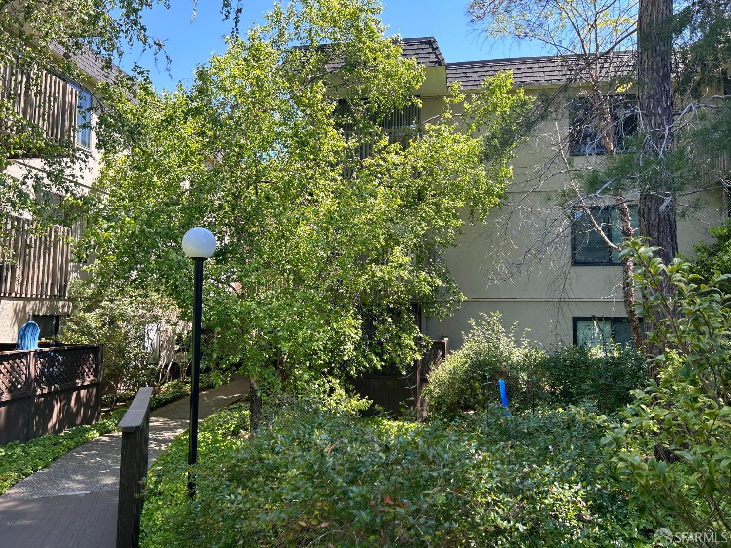 a view of a garden with plants