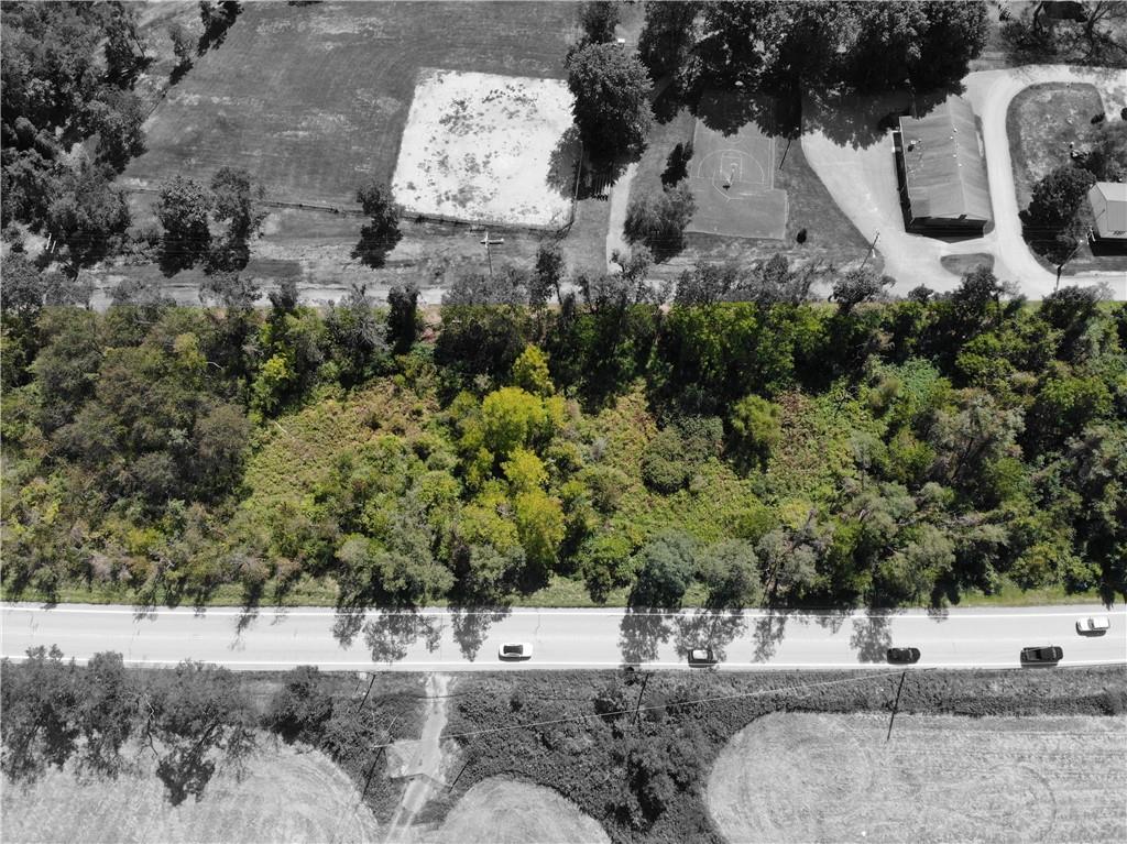 a view of a dry yard with trees