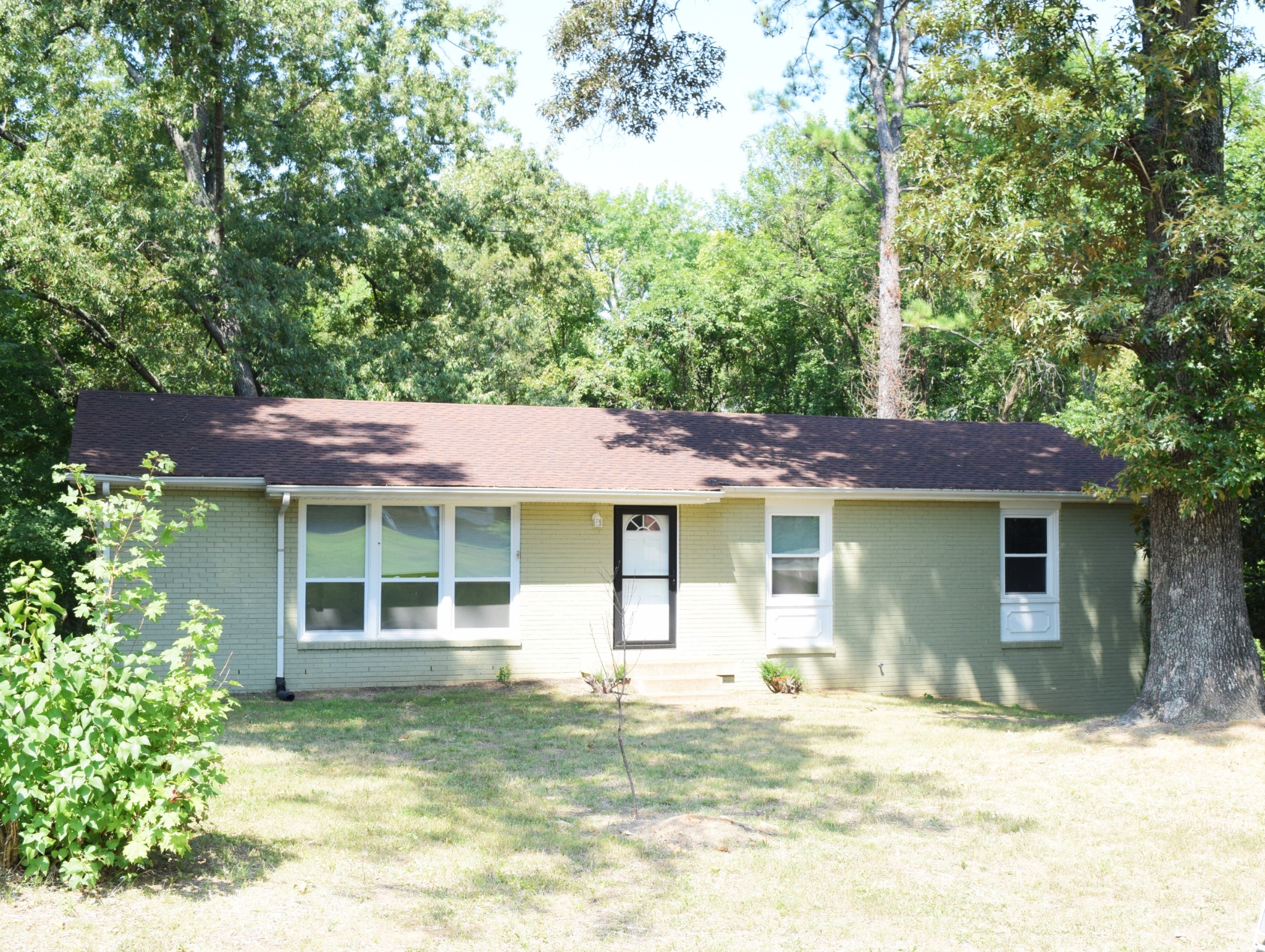 a house that has a tree in front of it