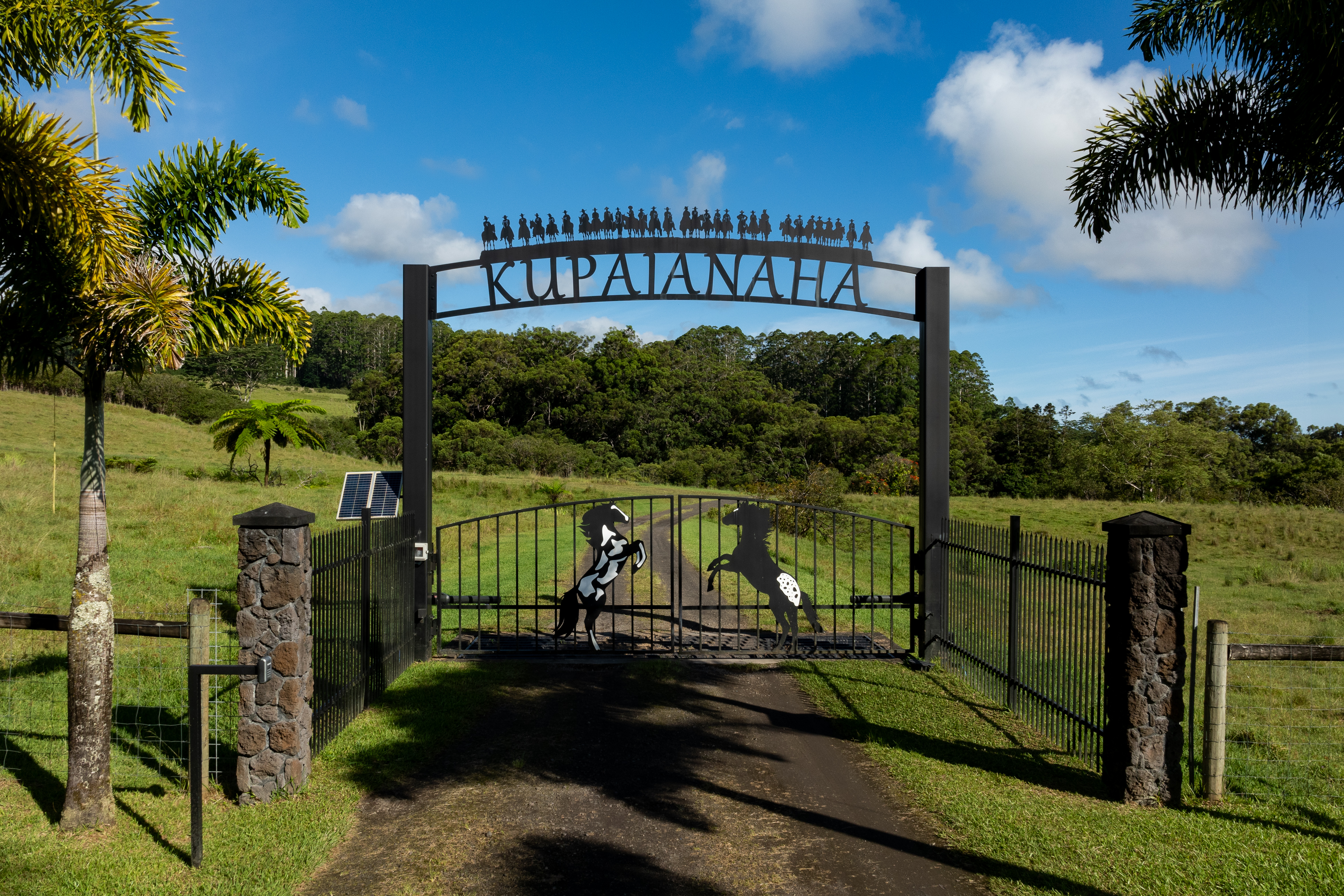 a view of a park with iron fence