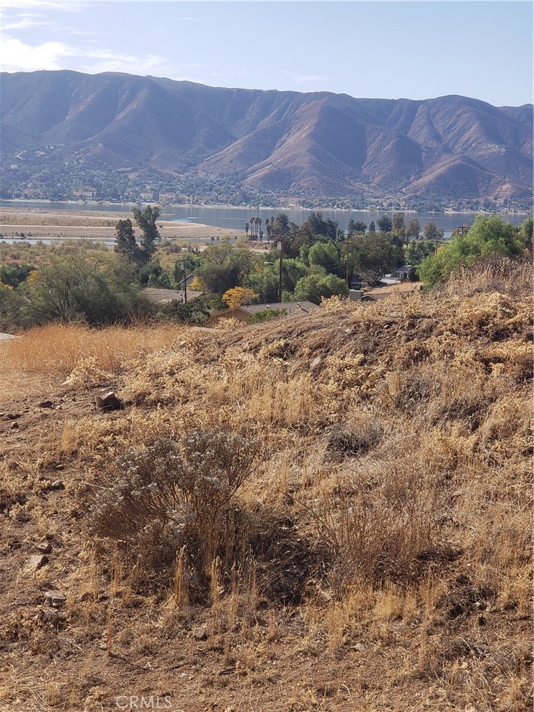 a view of a lush green field with mountains in the background