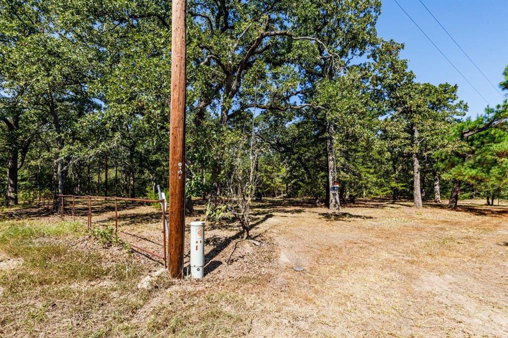 a view of a trees with yard