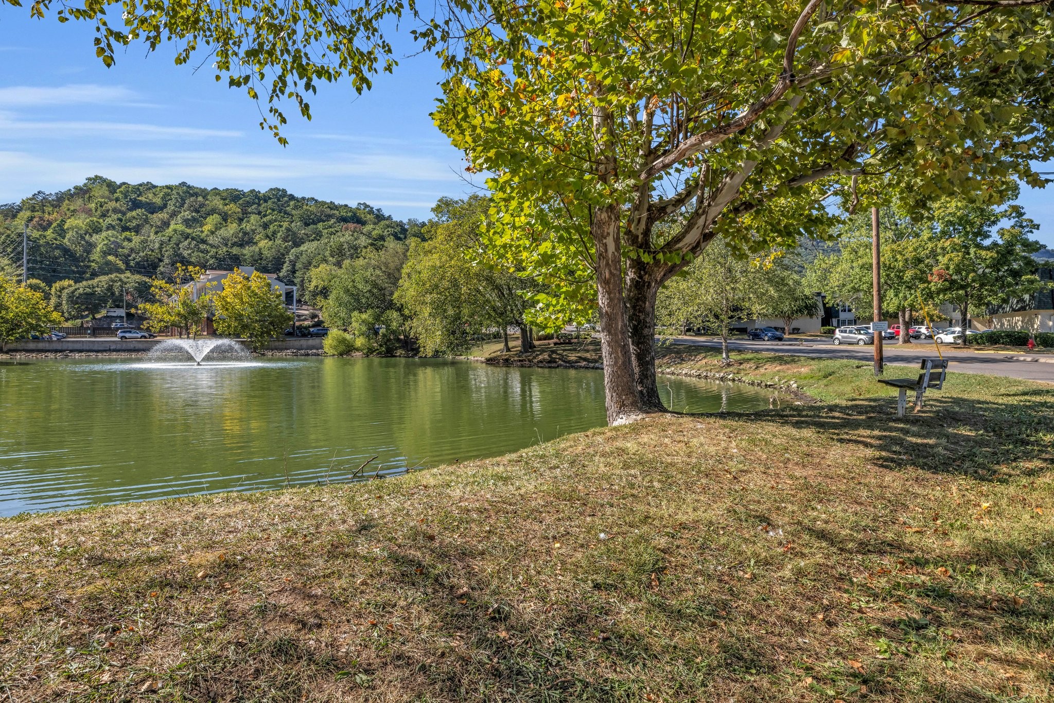 a view of a lake with houses in the back