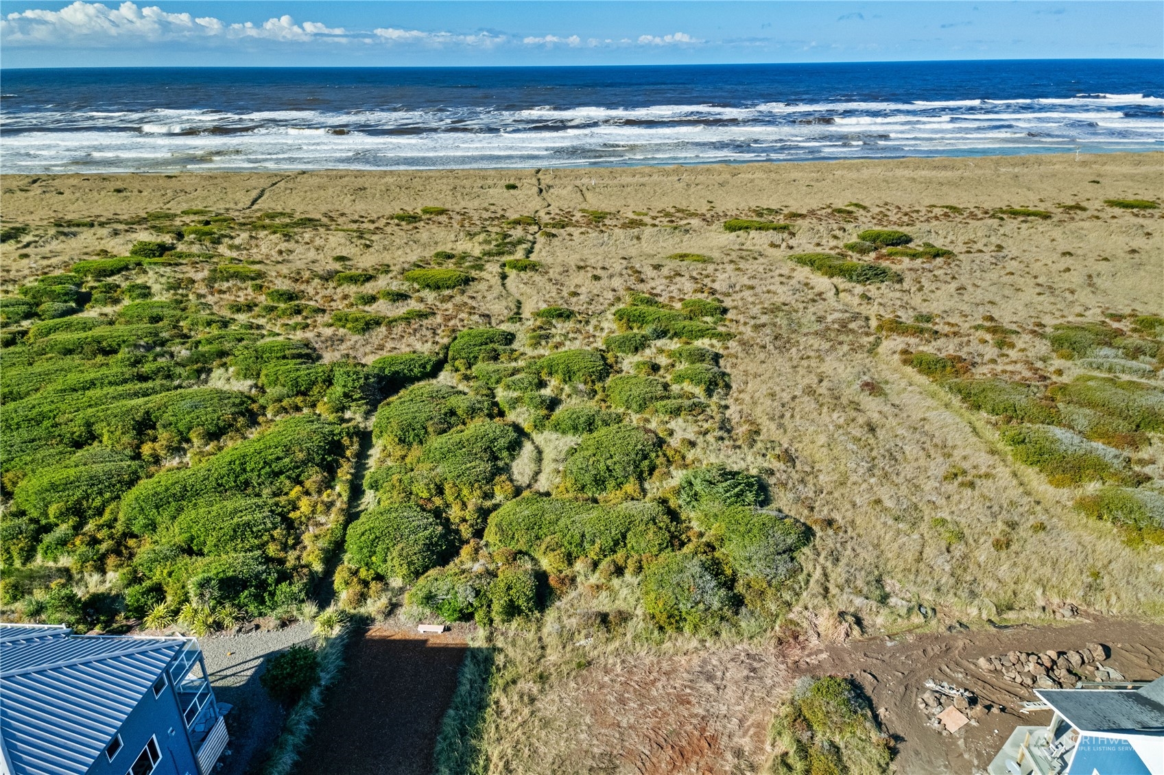 a view of an ocean from a yard