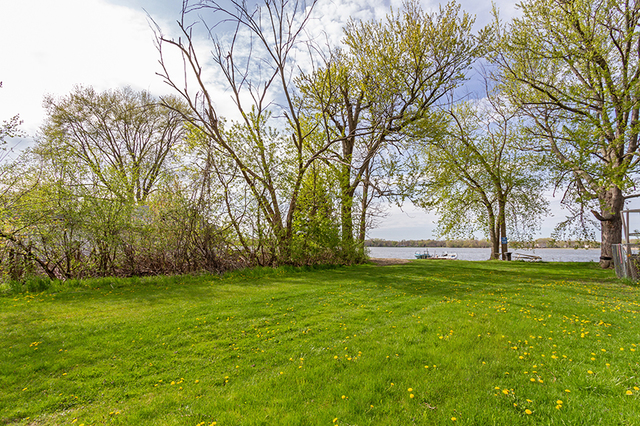 a backyard of a house with lots of green space and trees