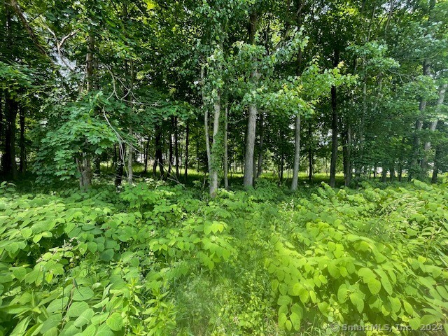 a view of outdoor space and trees