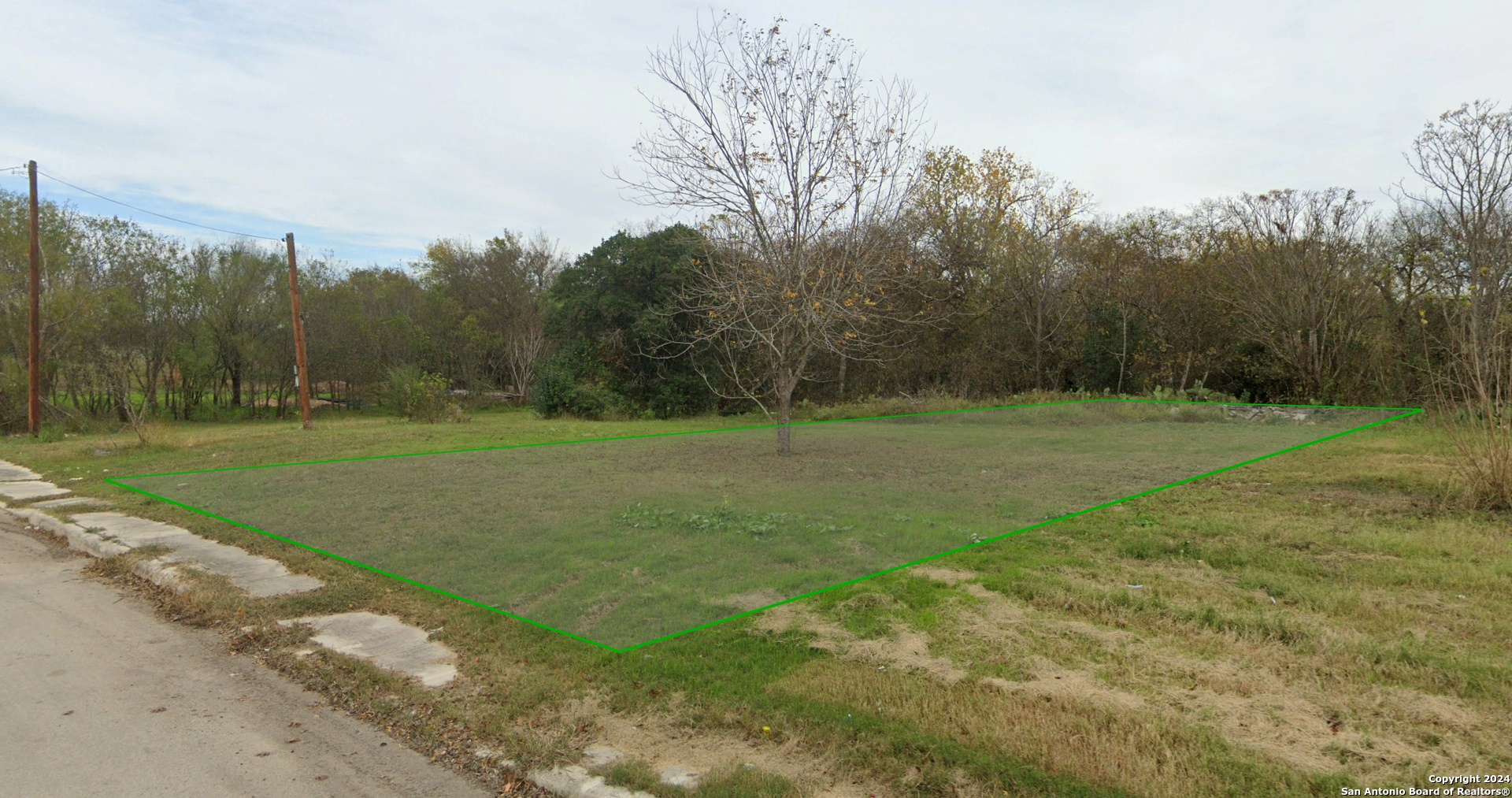 a view of a field with trees in background