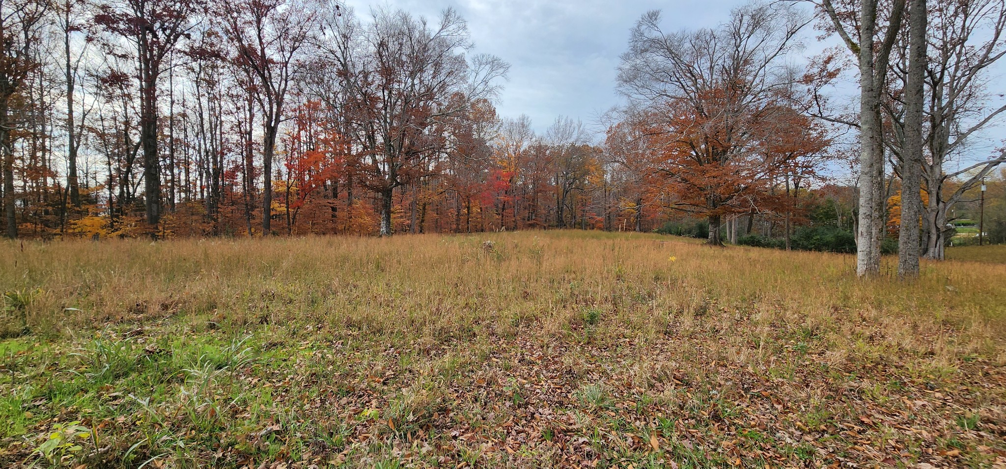 a view of patio and yard