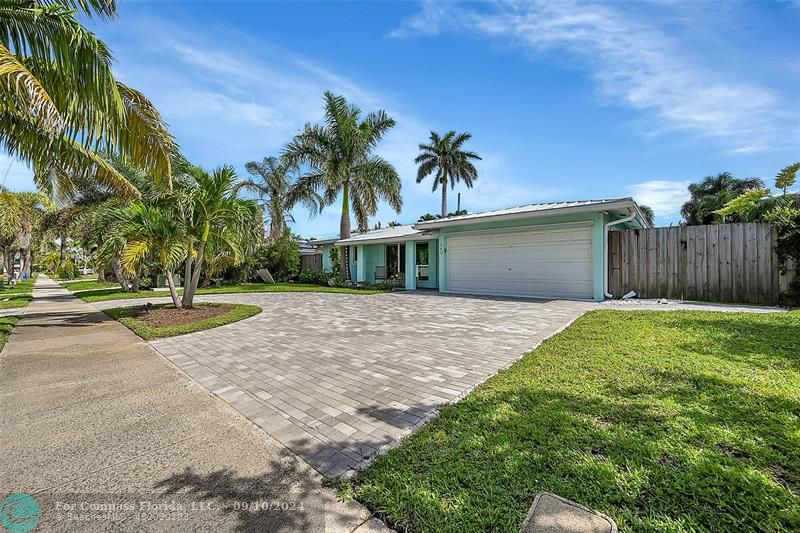 a view of backyard with palm trees