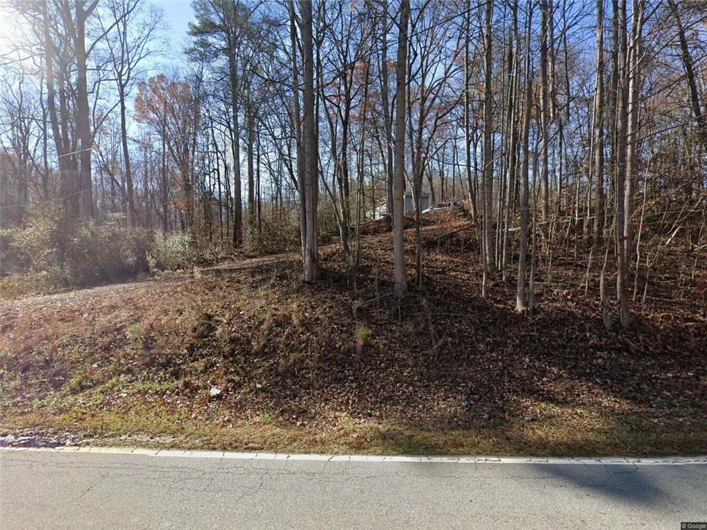 a view of a yard with trees