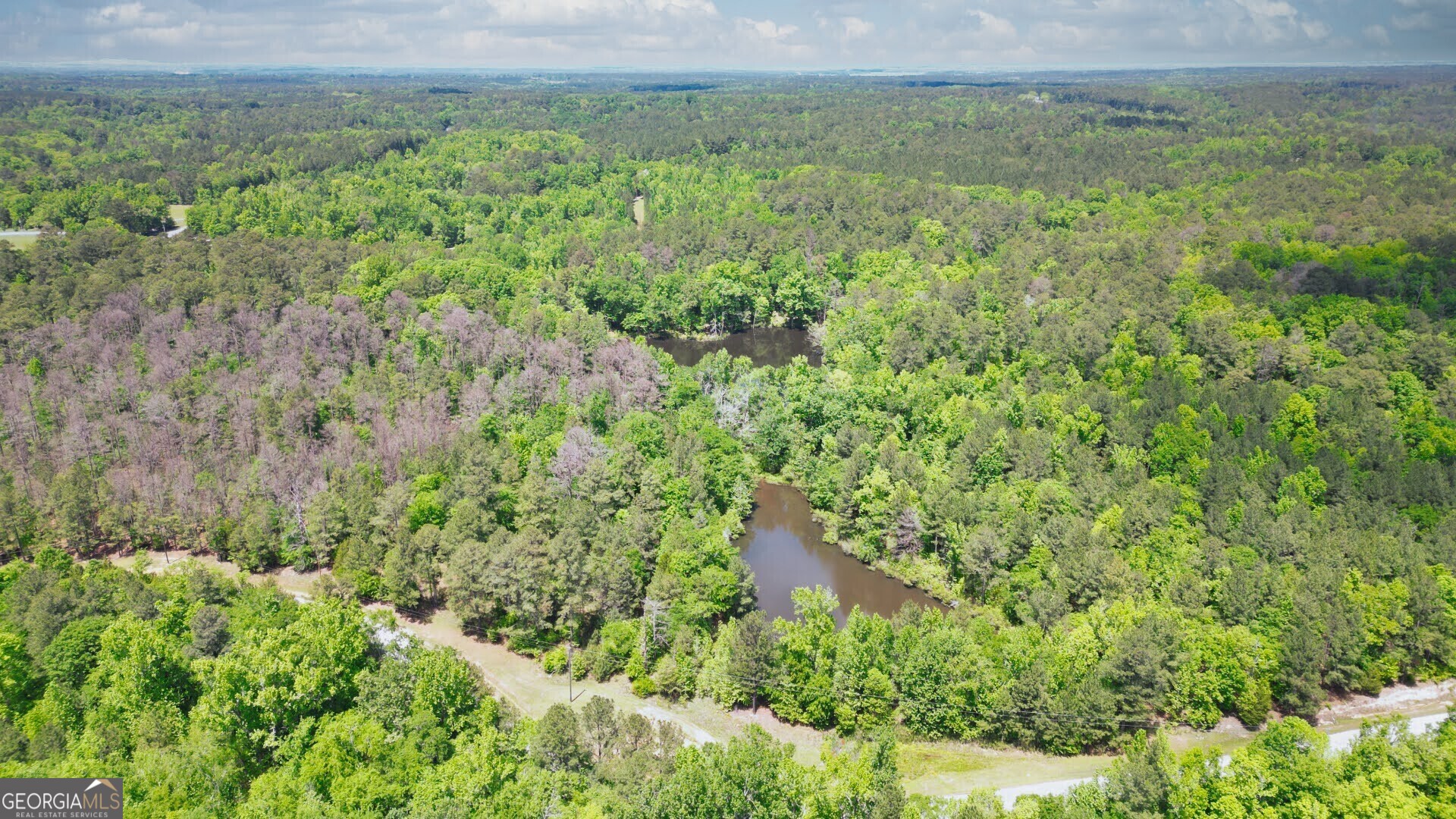 a view of a green field with lots of bushes