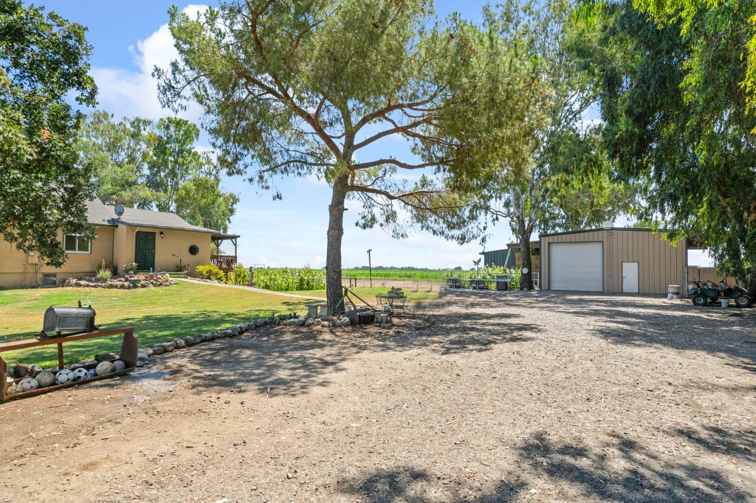 a view of a house with a yard and large tree