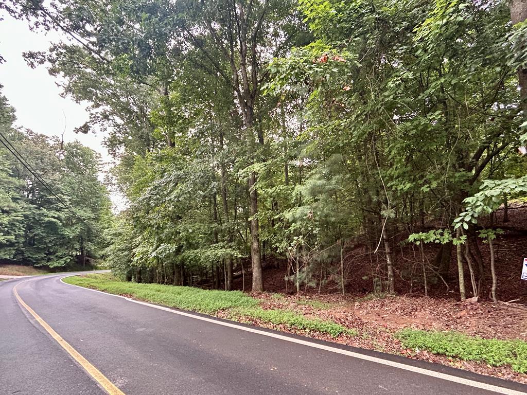 a view of a yard with plants and trees