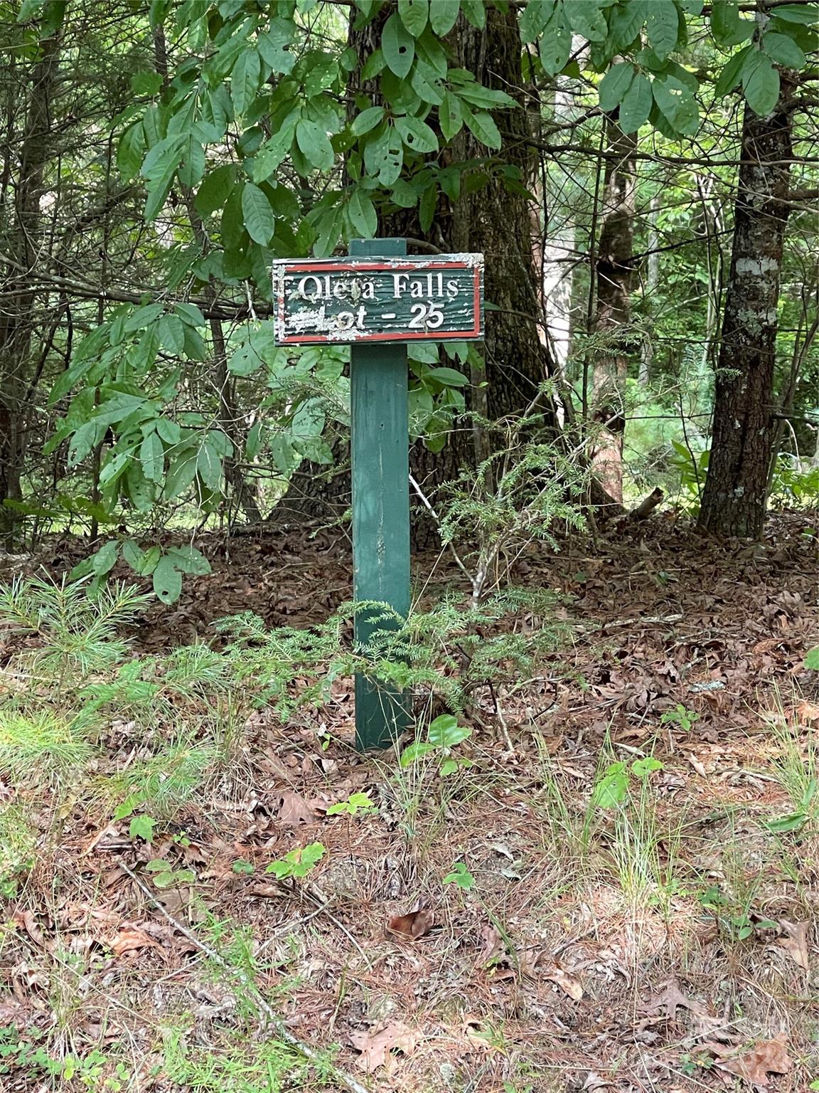 a sign that is sitting in the middle of a forest