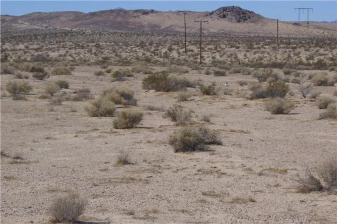 a view of a dry field