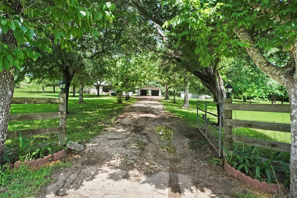 a view of a park with large trees