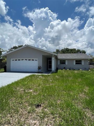 $3,100 | 1675 Summit Way | Dunedin