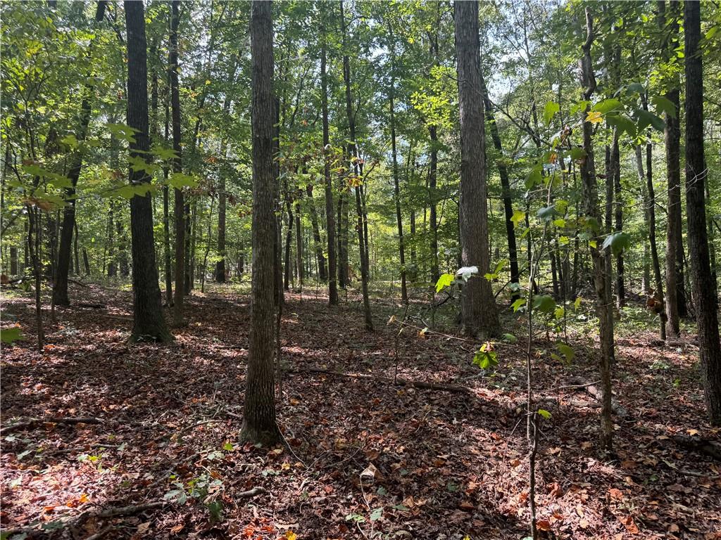 a view of outdoor space with lots of trees