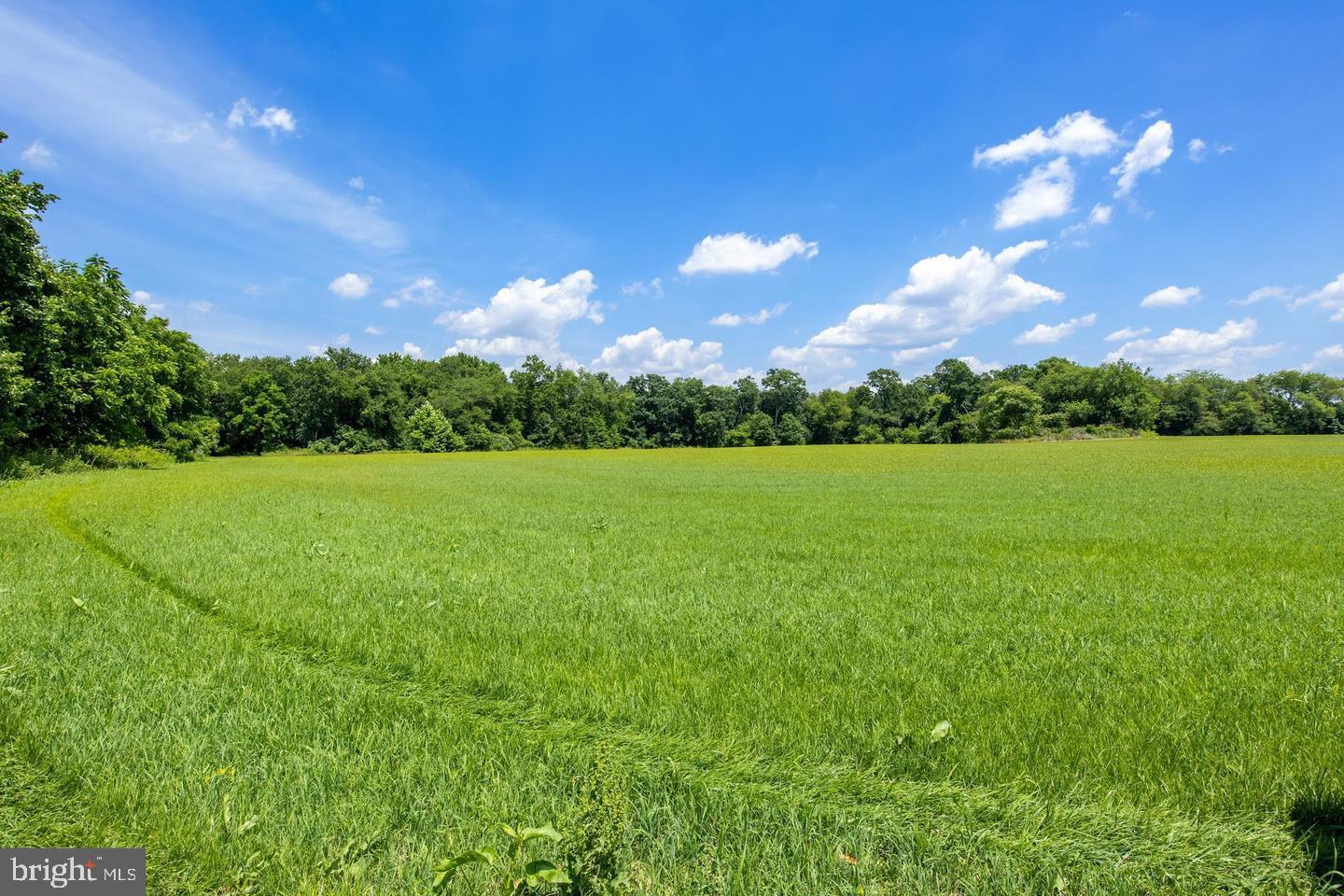 a view of a golf course with a lake