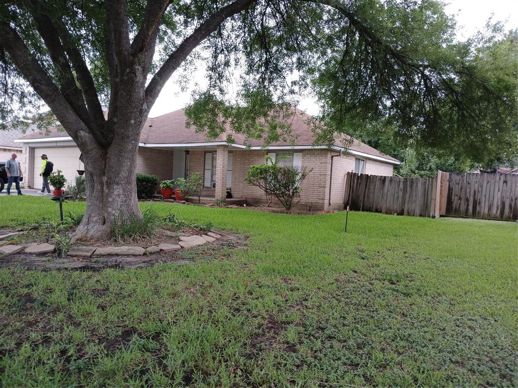 a backyard of a house with plants and large tree