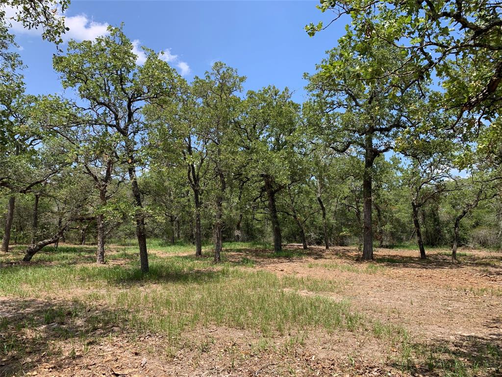 a view of outdoor space with trees