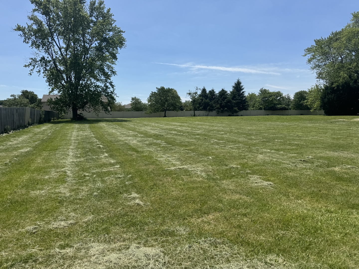 a view of outdoor space and yard