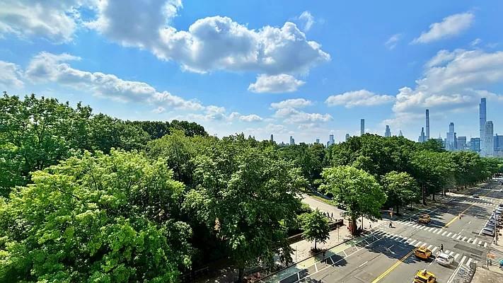 a view of a bunch of plants and trees