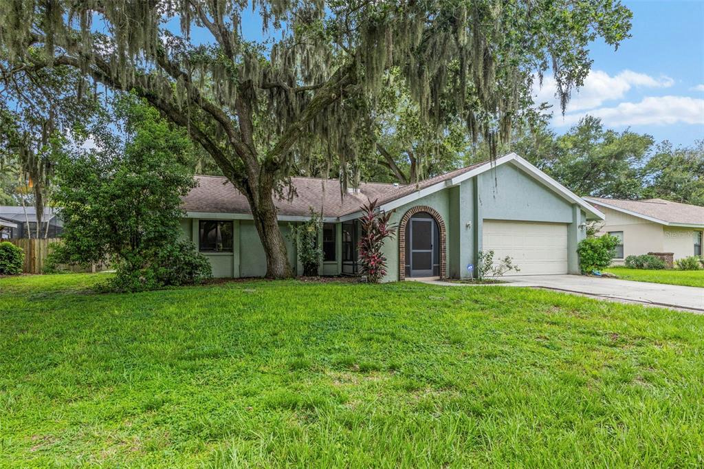 a front view of a house with yard and green space