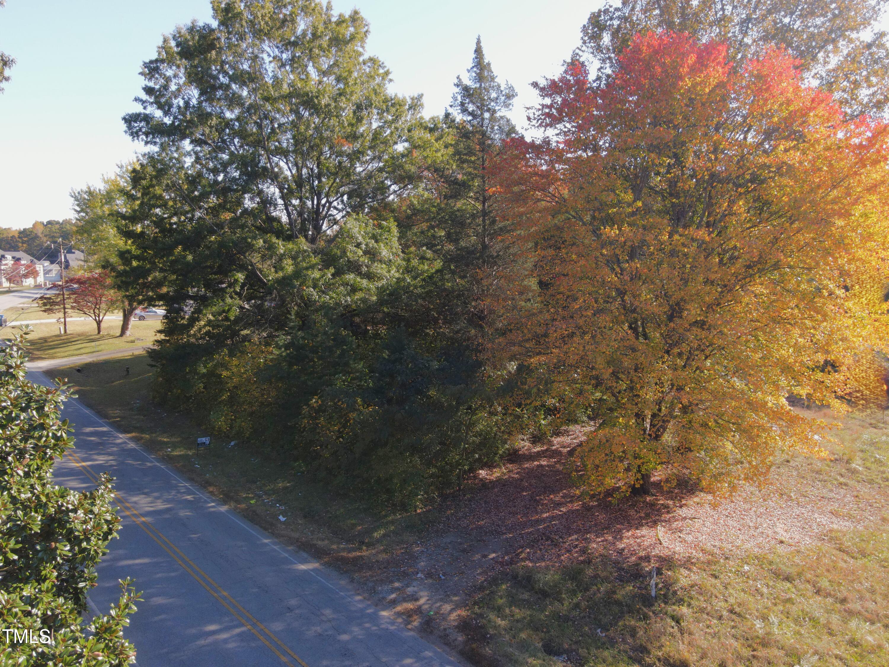 a view of a yard with plants and trees