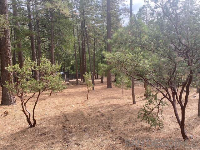 a view of outdoor space with trees