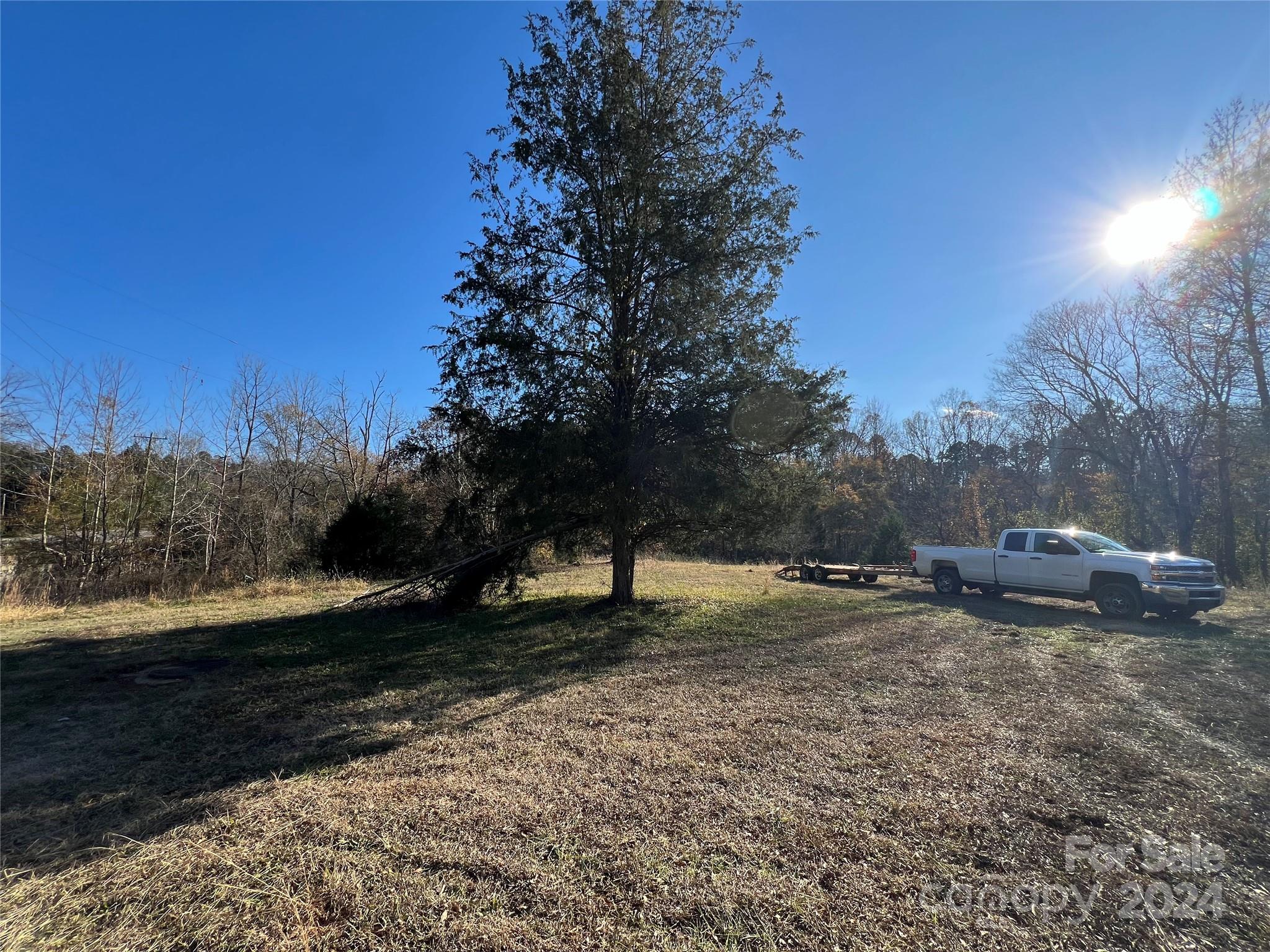 a view of dirt yard with a large tree