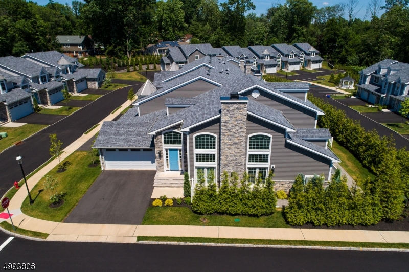 a aerial view of a house with a yard and potted plants