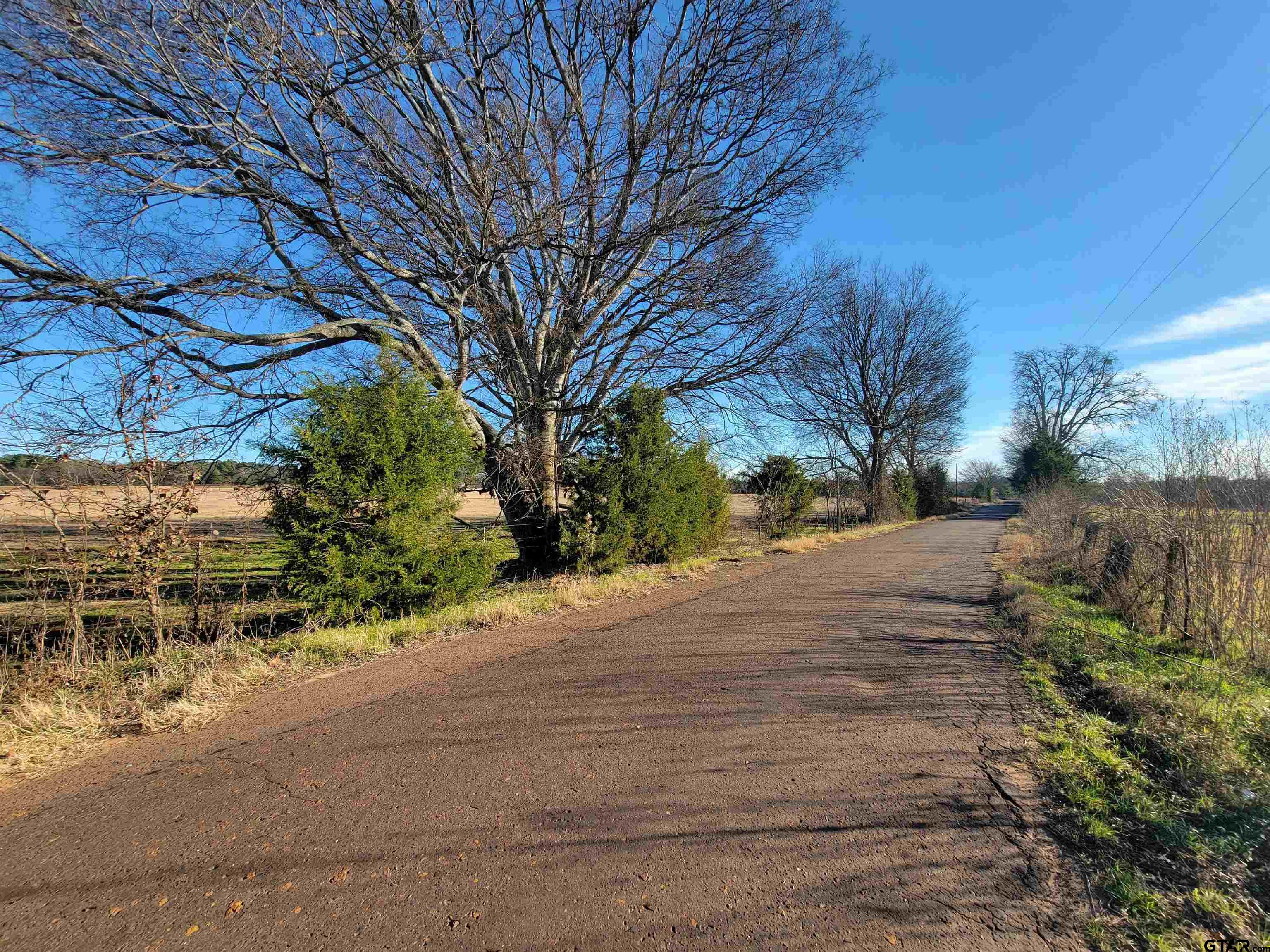 a view of road and trees