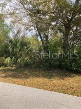 a view of a yard with plants and trees