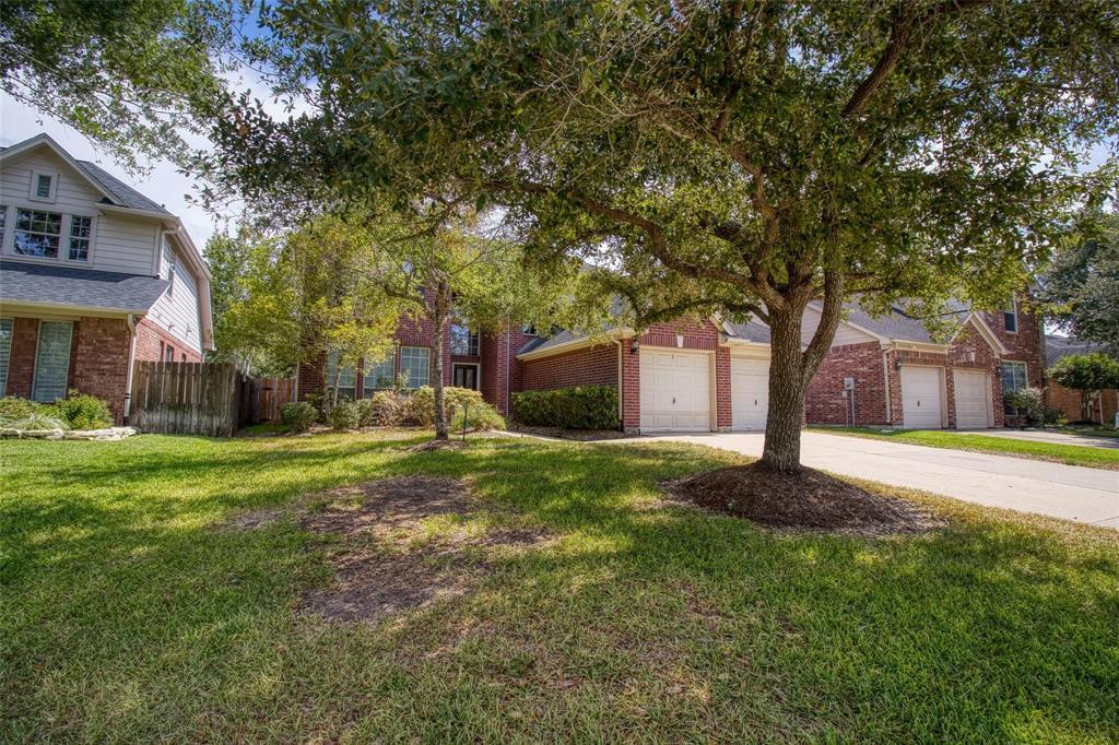 a backyard of a house with plants and large tree