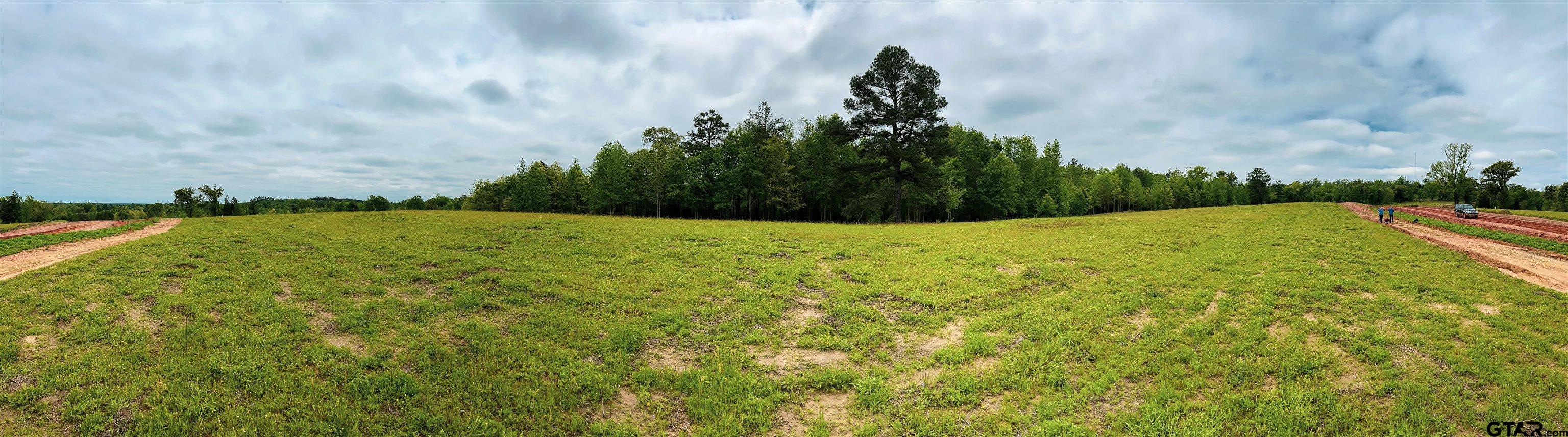 a view of a field with an ocean