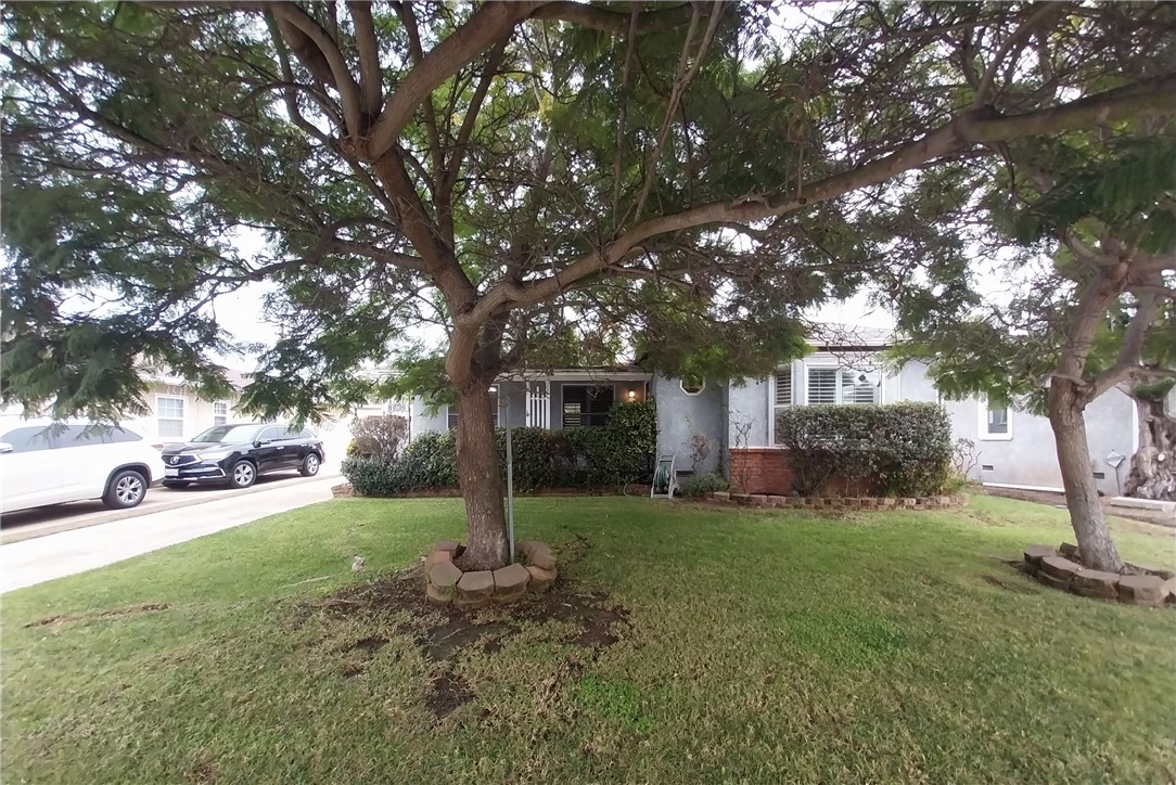 a view of a yard with plants and trees