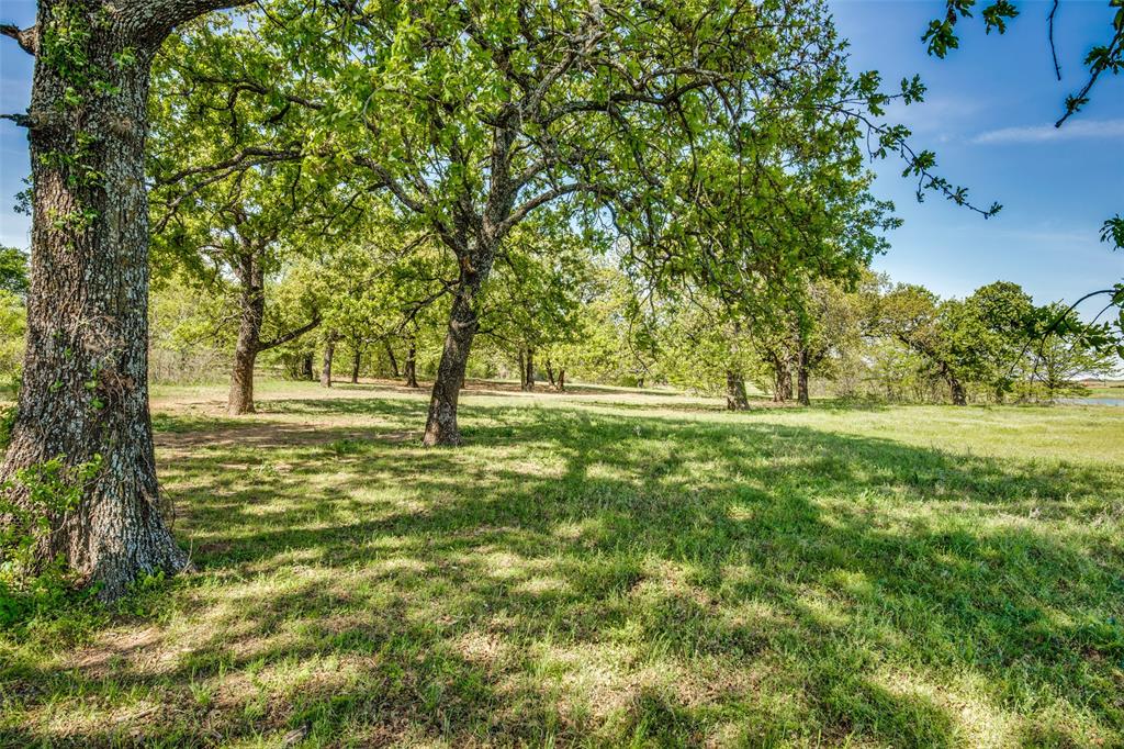 a huge green field with lots of trees