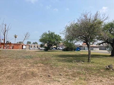 a view of a trees in a yard