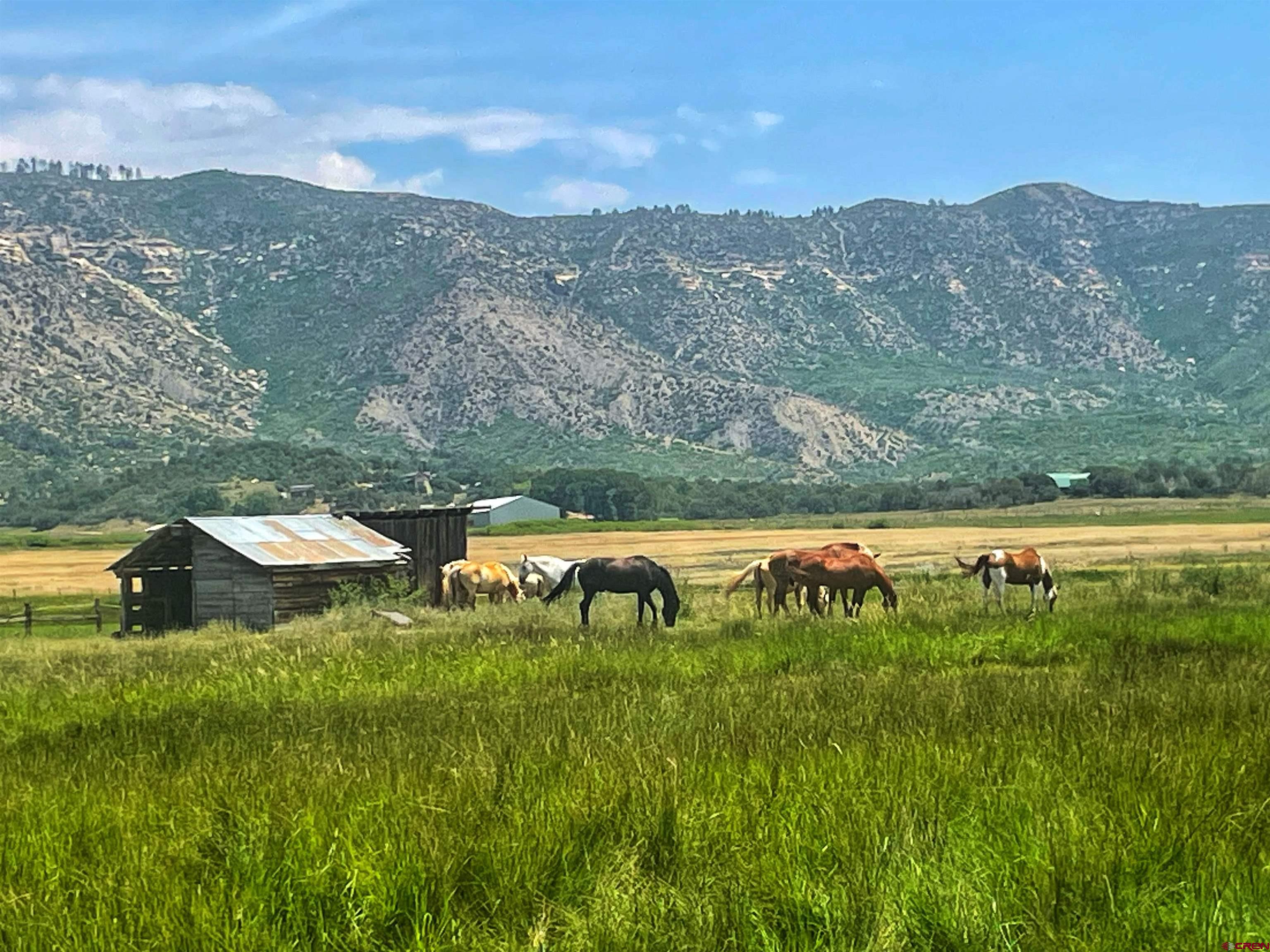 a view of a back yard