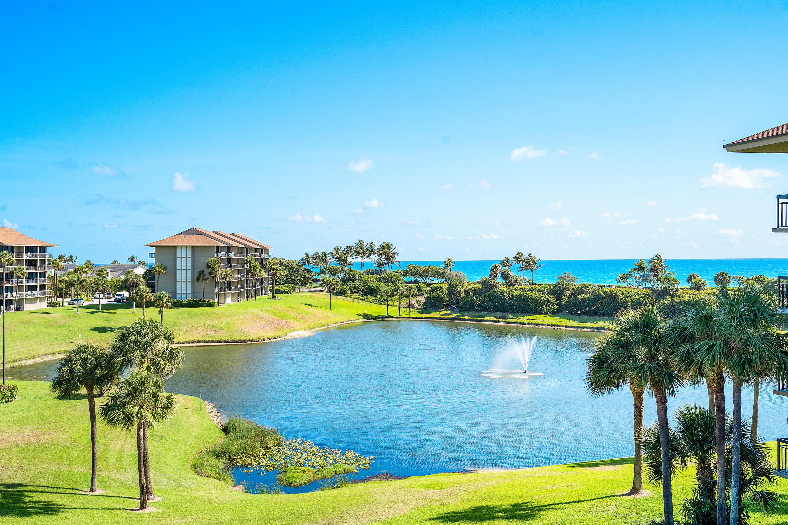 a view of a swimming pool and lake view